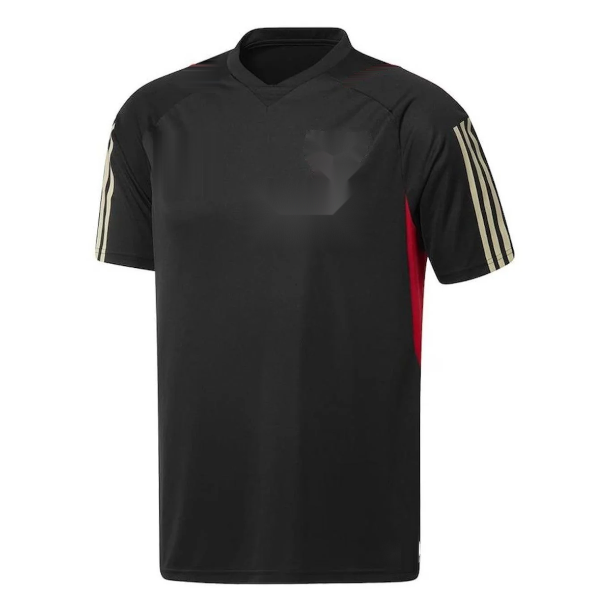 Training 23/24 Fan Version Jersey