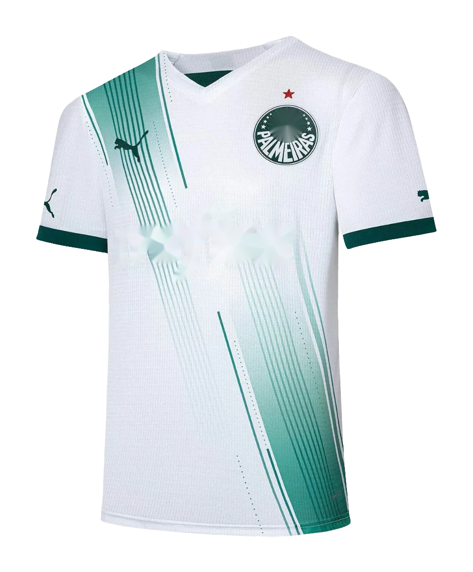 Away 23/24 Fan Version Jersey