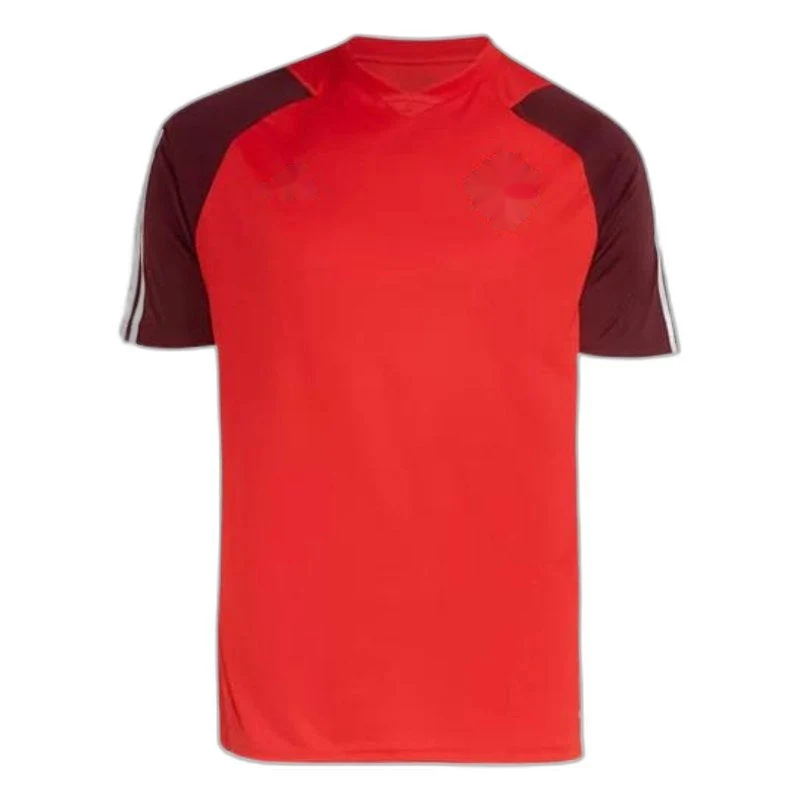 Training 24/25 Fan Version Jersey