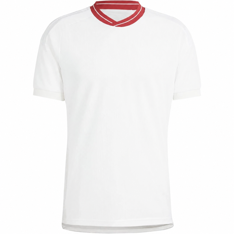 Third 23/24 Fan Version Jersey